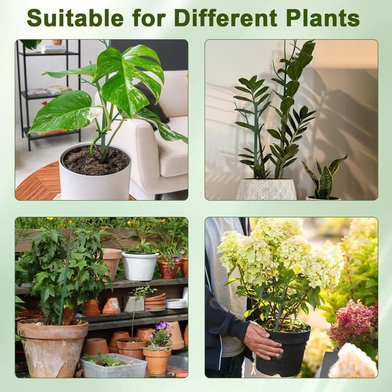 🌿Gardening Green Plant Support Frame