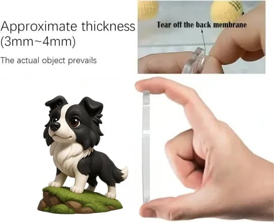 Border Collie Advent Calendar 2025