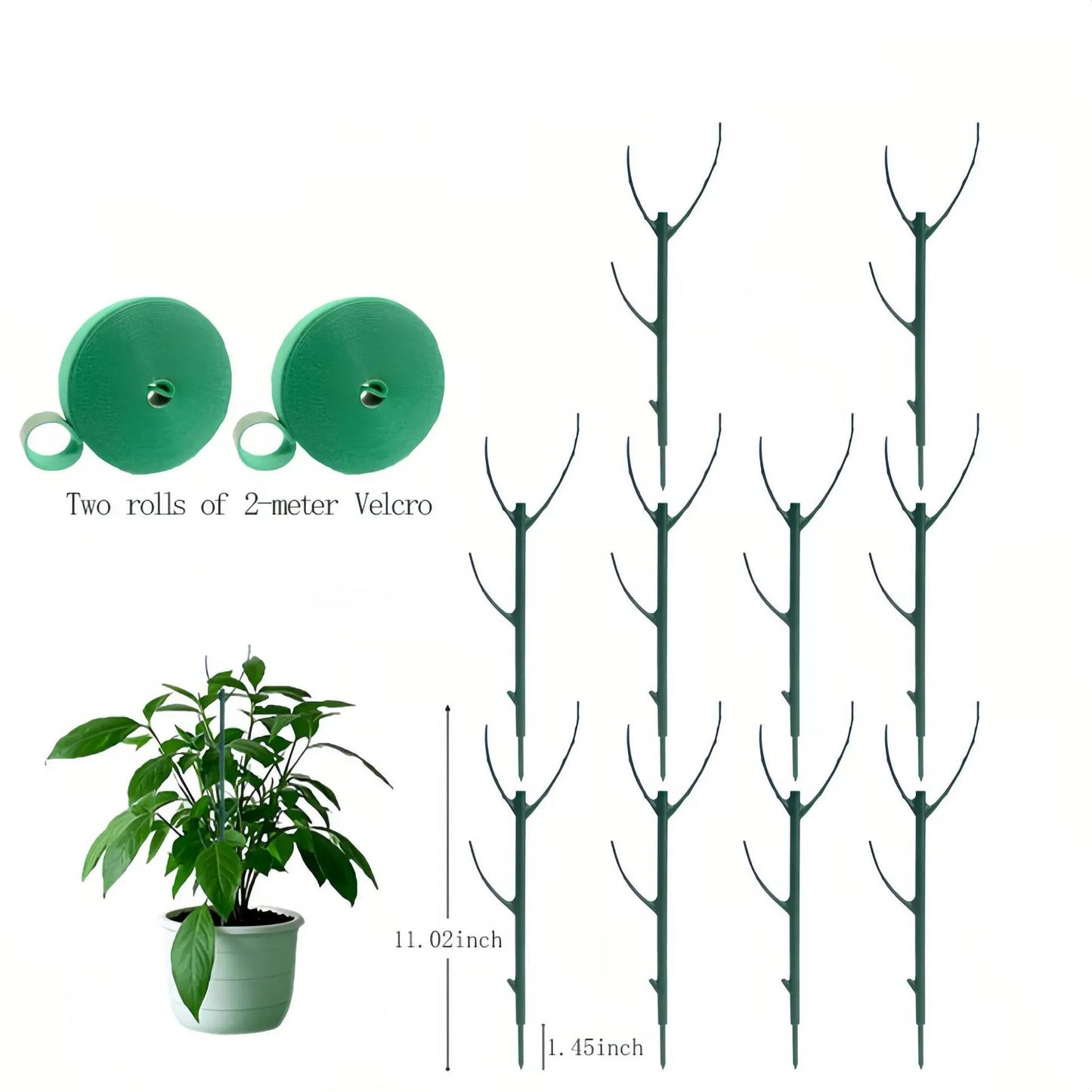 🌿Gardening Green Plant Support Frame