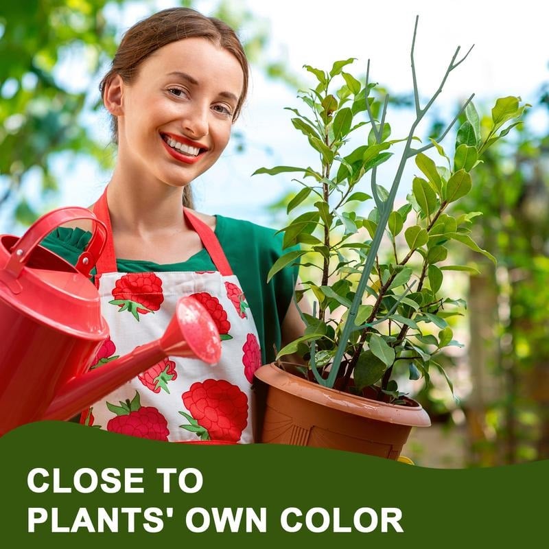 🌿Gardening Green Plant Support Frame