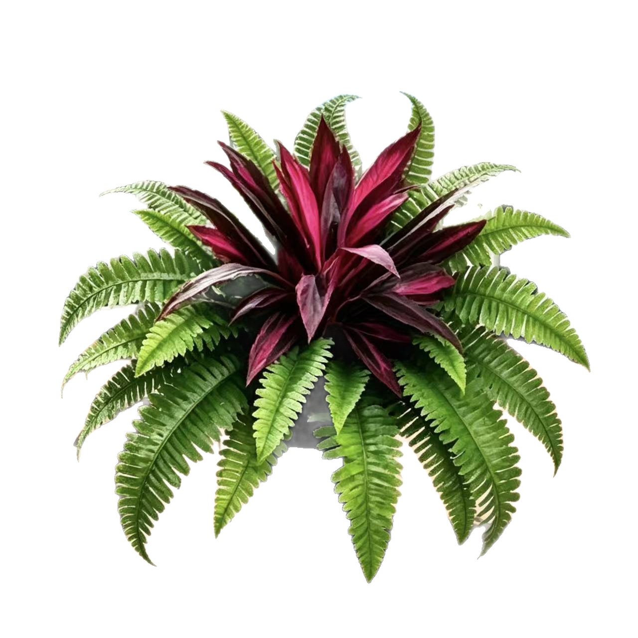 💥Summer Special🔥 UV-resistant artificial ferns & red dragon trees – Full, lush & colourfast!