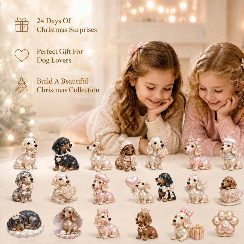 2026 Pearl Dachshund Christmas Advent Calendar | 24-Day Dog-Themed Collectible Decor Gift Box