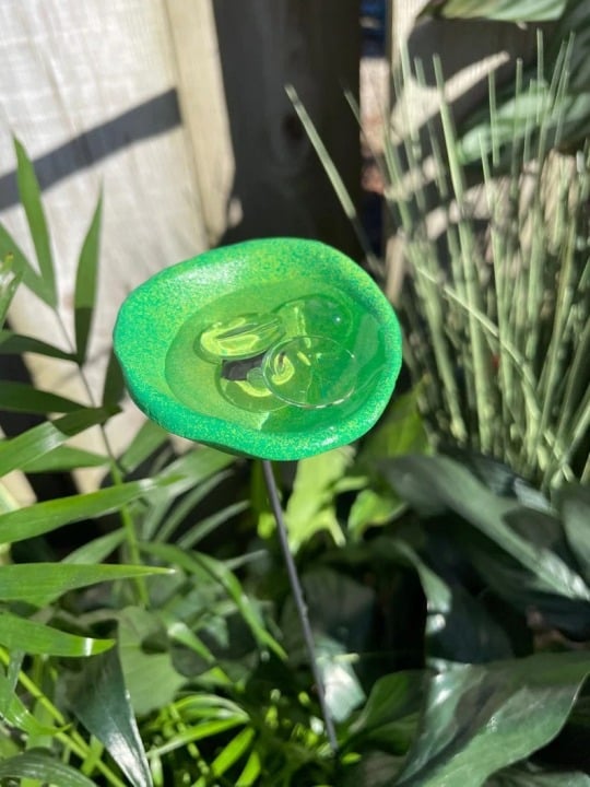 🐝LAST DAY 49% OFF - Bee Watering Station with Marbles, Butterfly Puddler, Hummingbird Drinking Cups💧