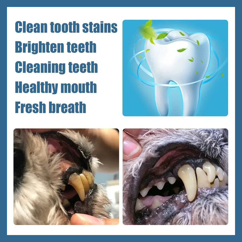 Pet Toothbrush Pen
