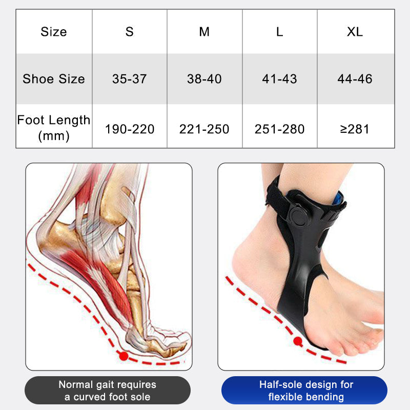 Foot Drop Fixation Orthosis