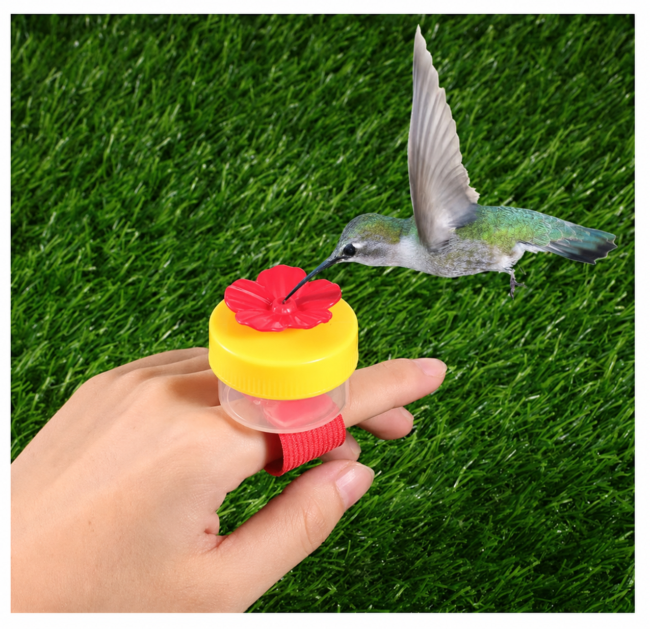 Hummingbird Feeder Ring