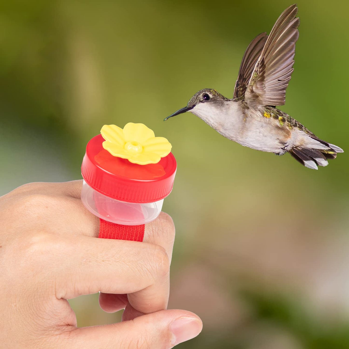 Hummingbird Feeder Ring