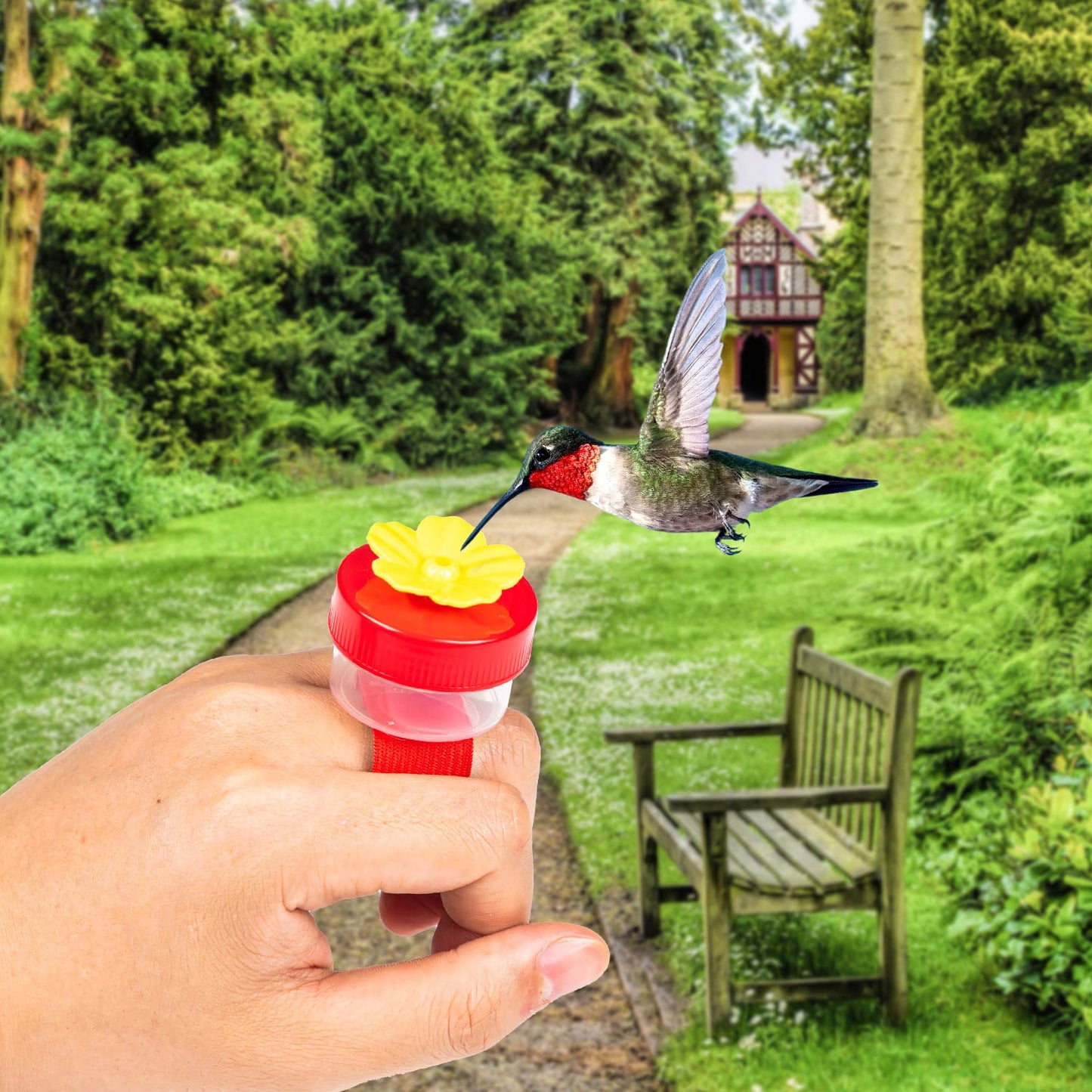 Hummingbird Feeder Ring
