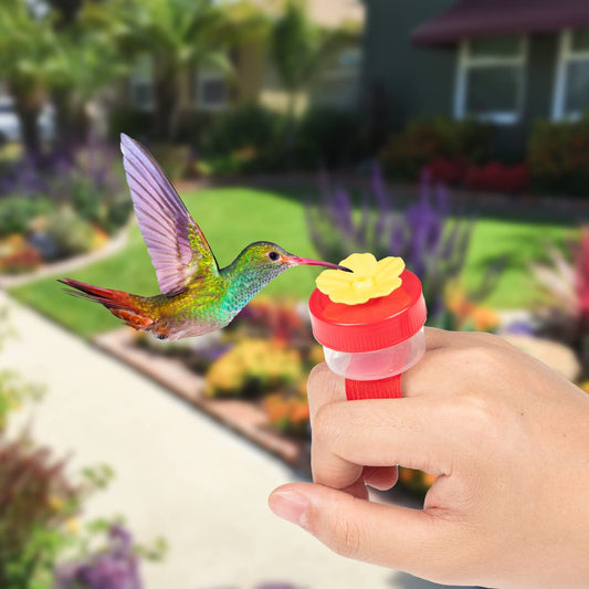 Hummingbird Feeder Ring