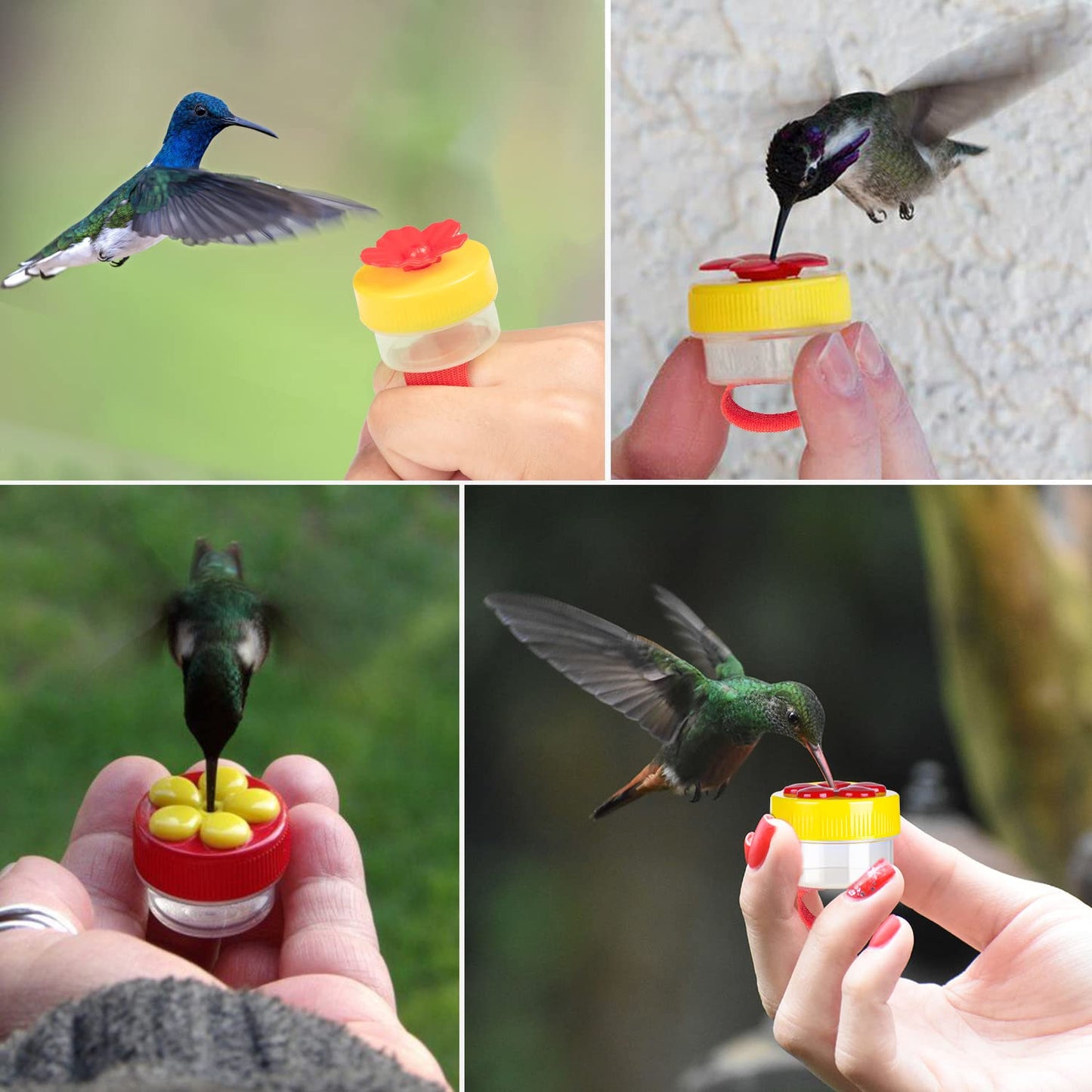 Hummingbird Feeder Ring