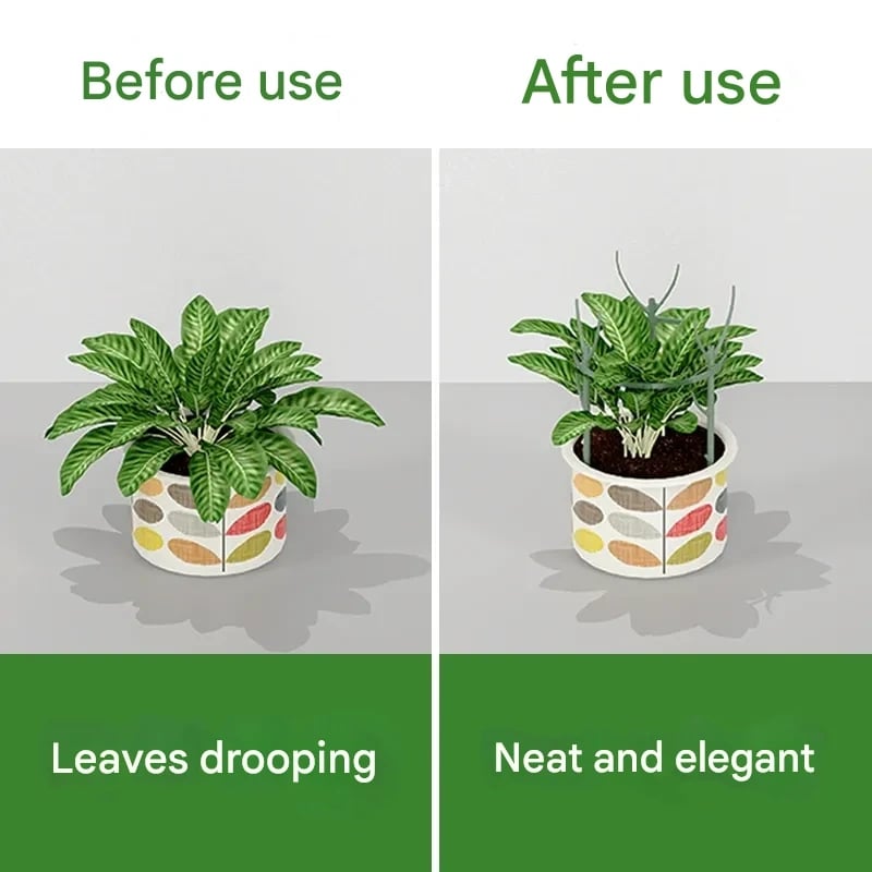 🌿Gardening Green Plant Support Frame