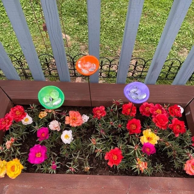 🐝LAST DAY 49% OFF - Bee Watering Station with Marbles, Butterfly Puddler, Hummingbird Drinking Cups💧