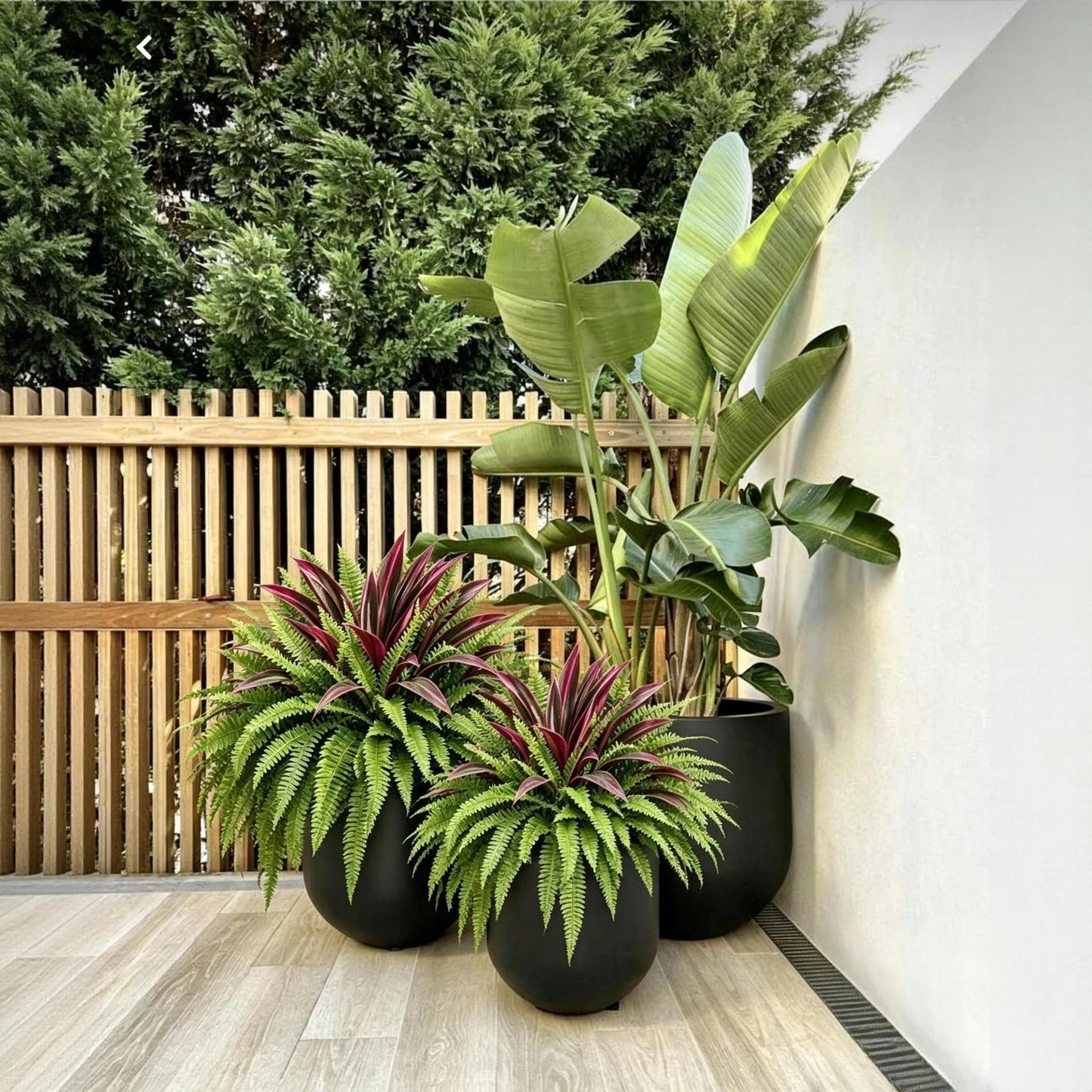 💥Summer Special🔥 UV-resistant artificial ferns & red dragon trees – Full, lush & colourfast!