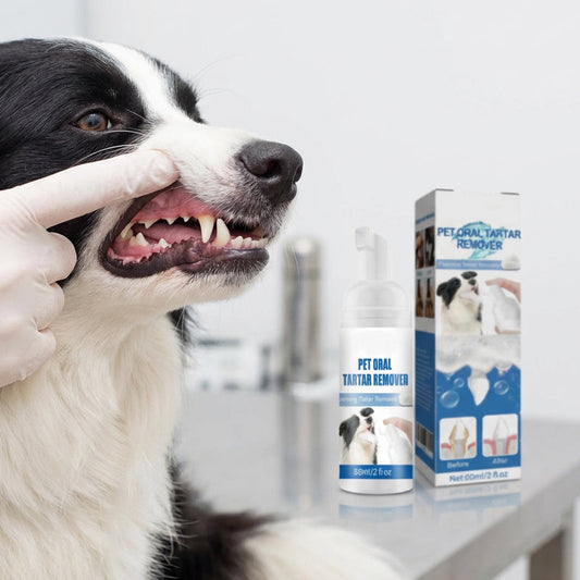 🐾 Foaming Tartar Remover for Pets – Natural Formula & Easy to Use!