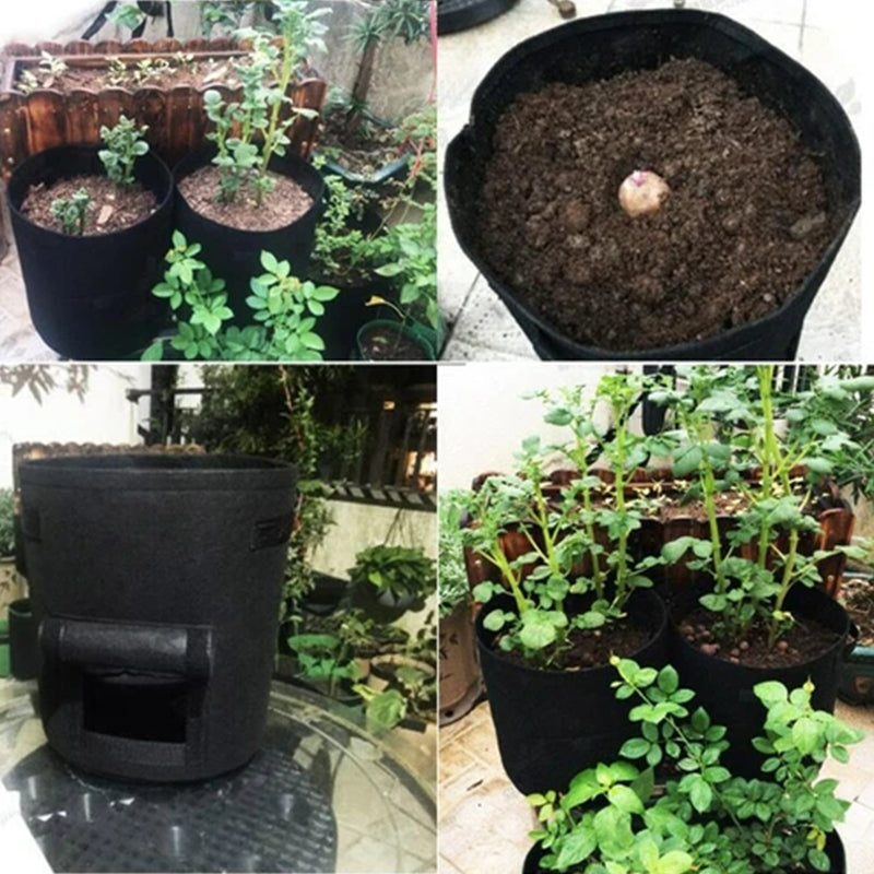 Cloth crop planting bags with harvesting windows