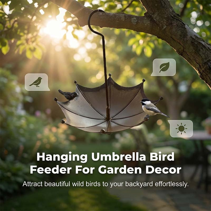 Hanging Bird Feeder & Bird Bath In Umbrella Design